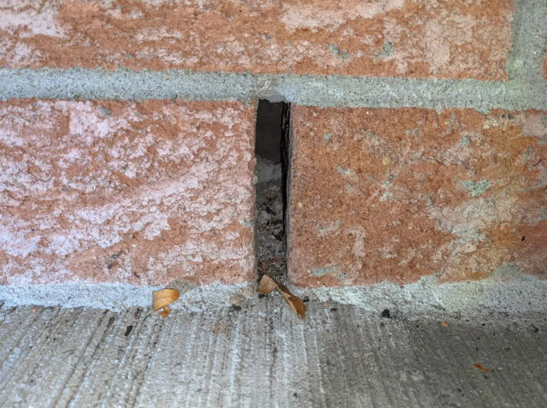 How are Mice Getting in My House