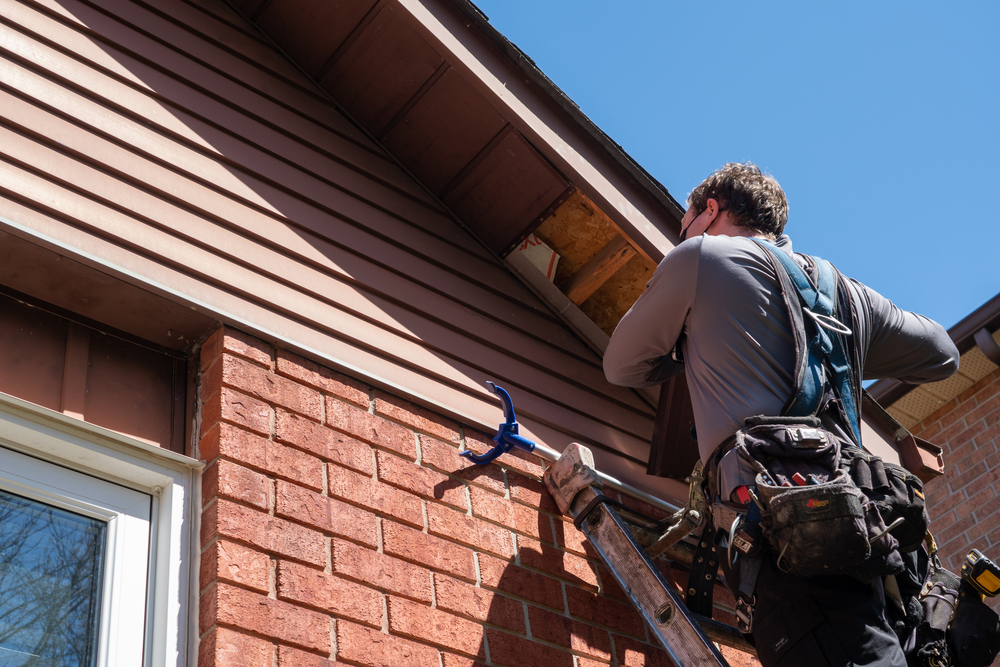 Raccoon Removal Madison