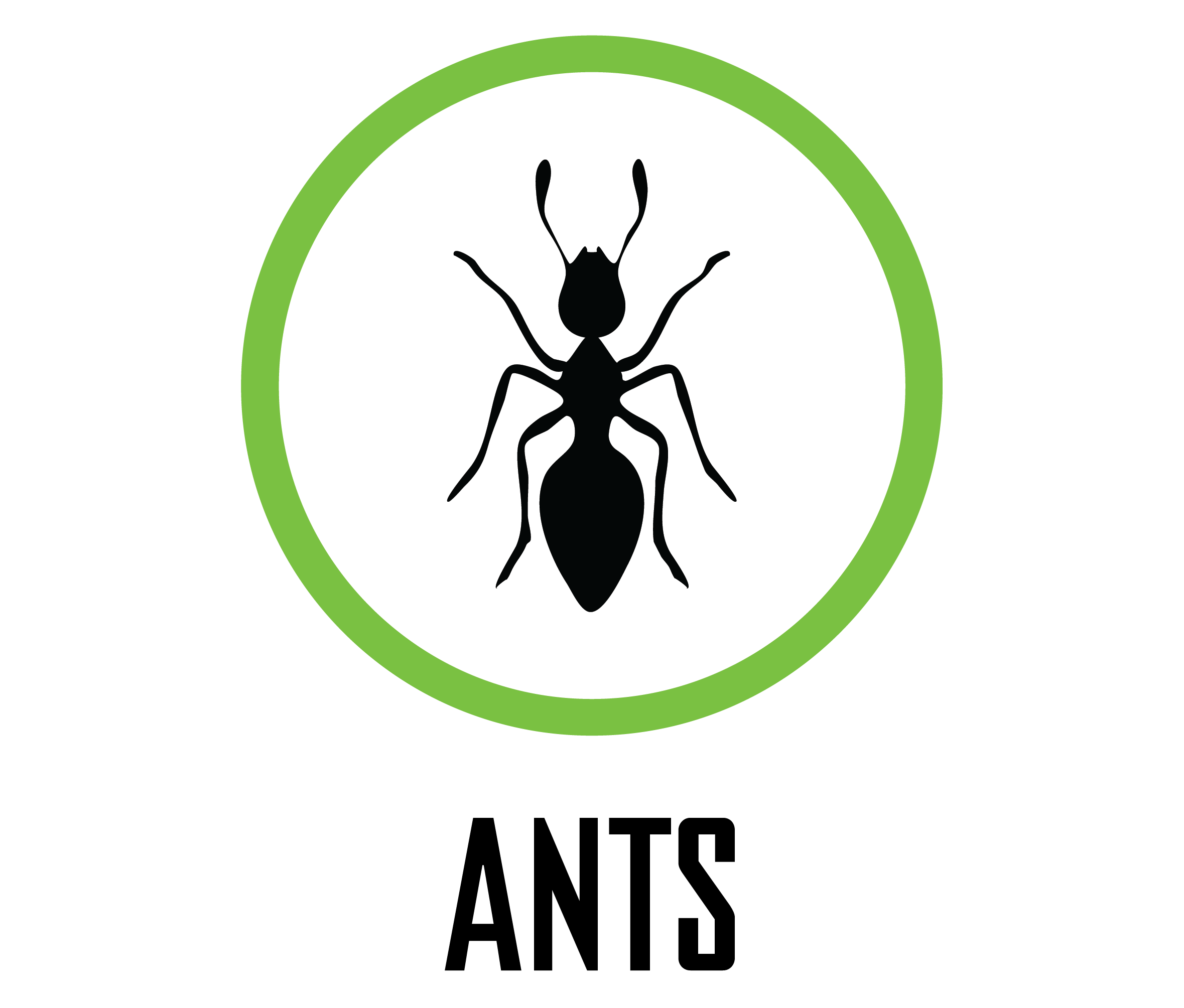 Ant logo