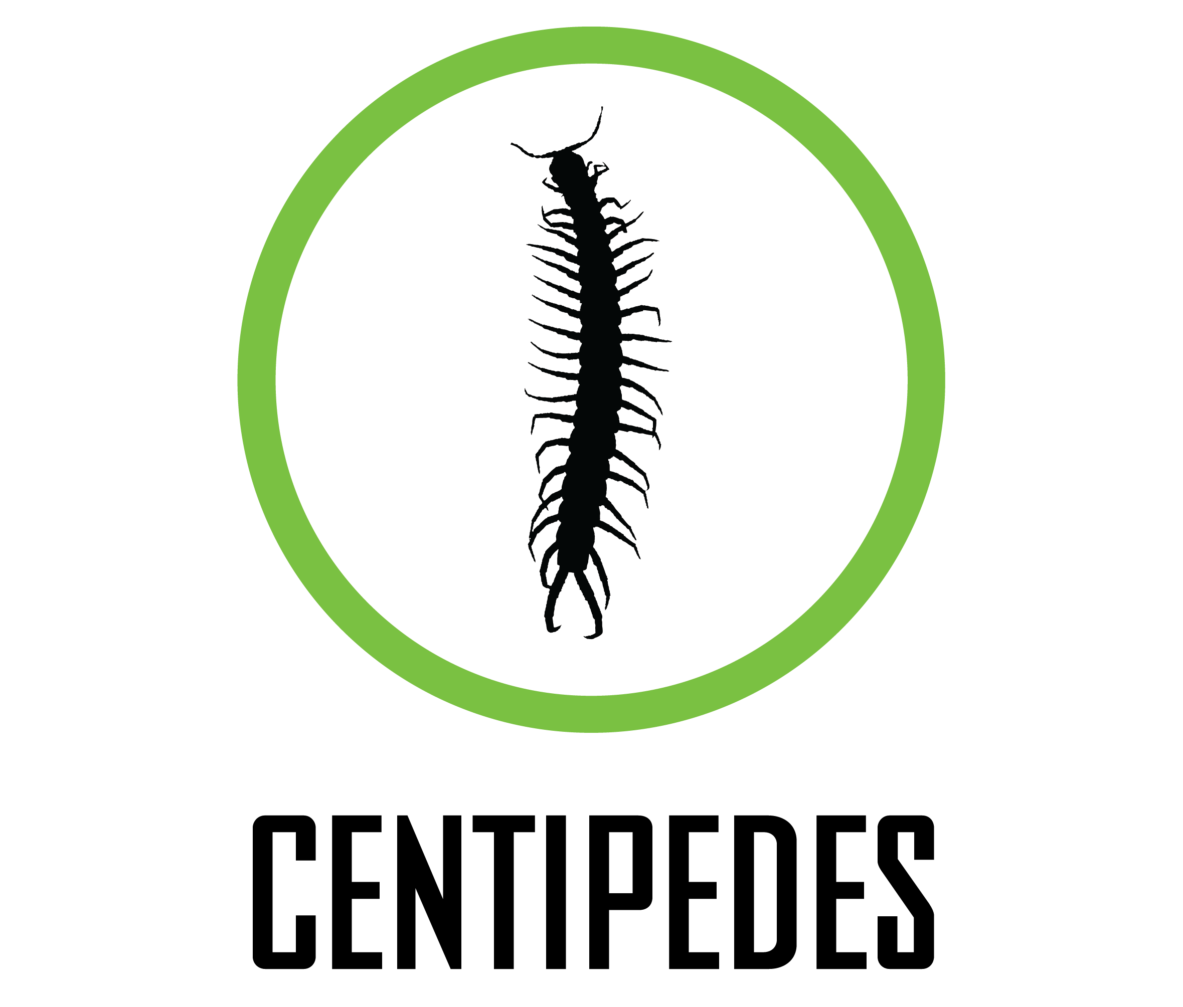 Centipede logo
