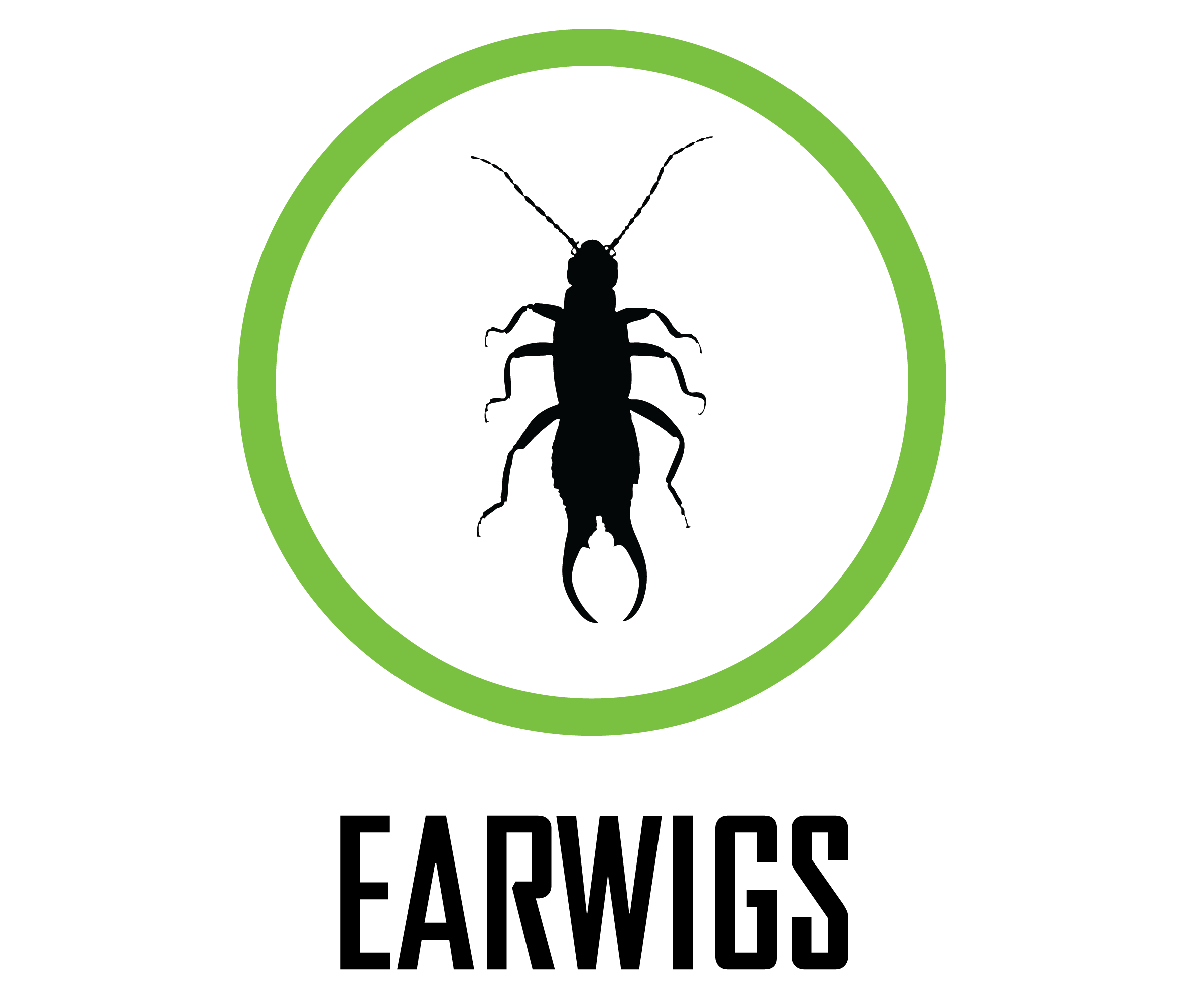 Earwig Logo