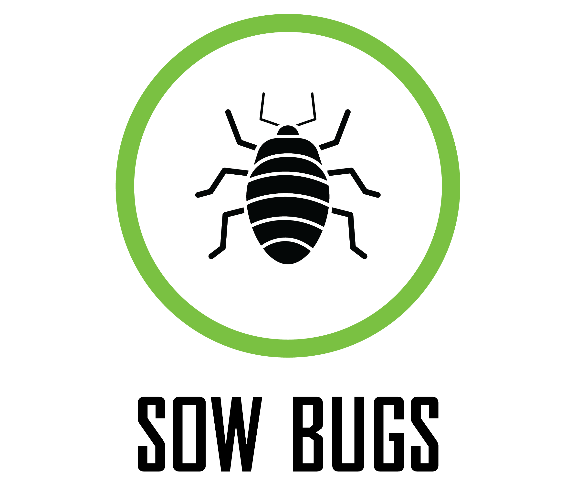 Sow Bug logo