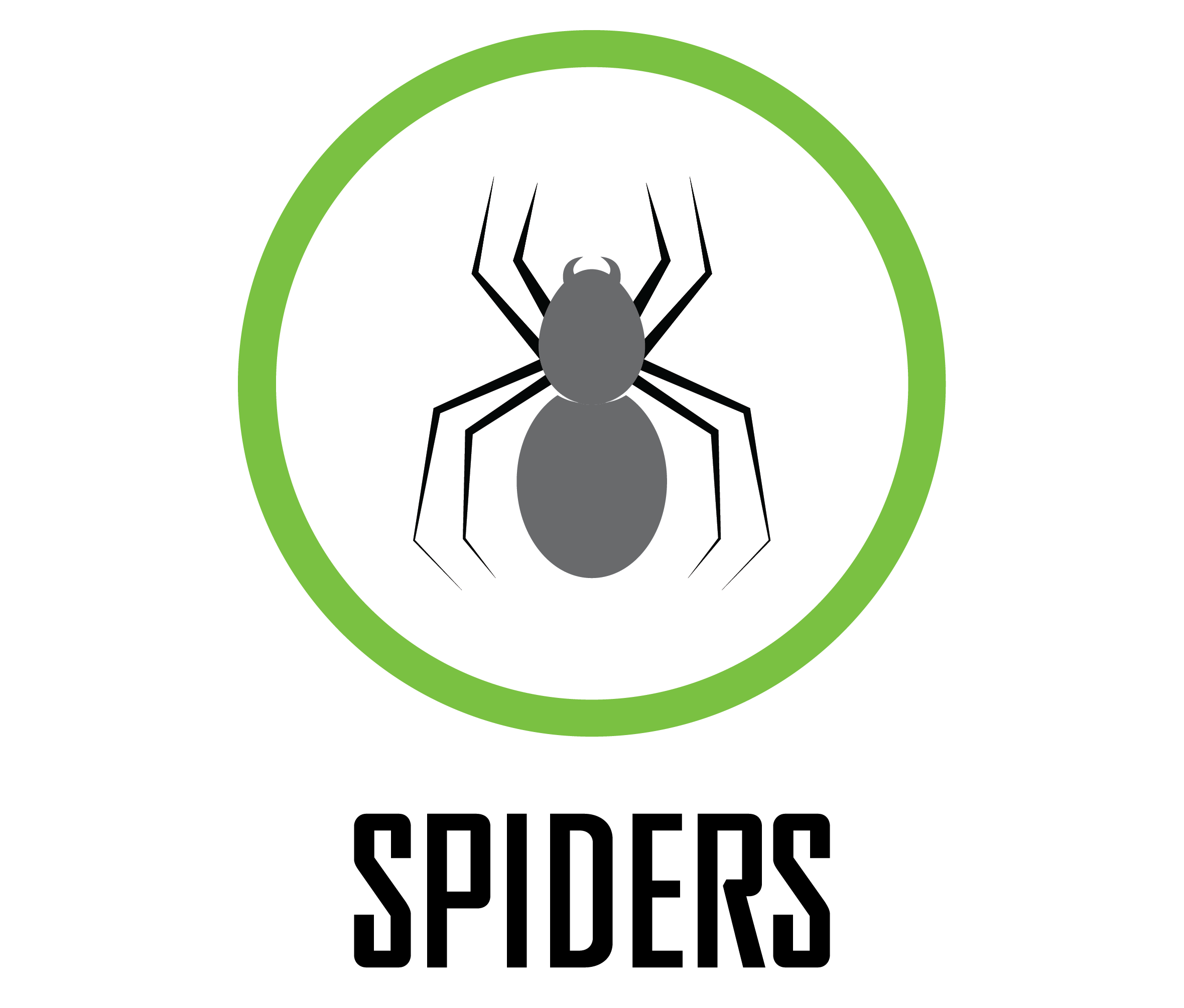Spider Logo