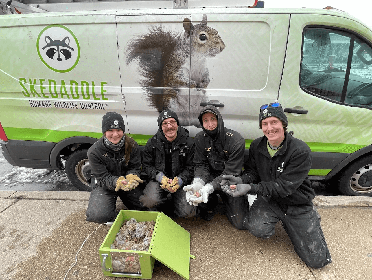 Get Rid of Squirrels