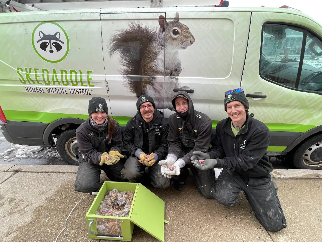 Squirrel Removal Pickering