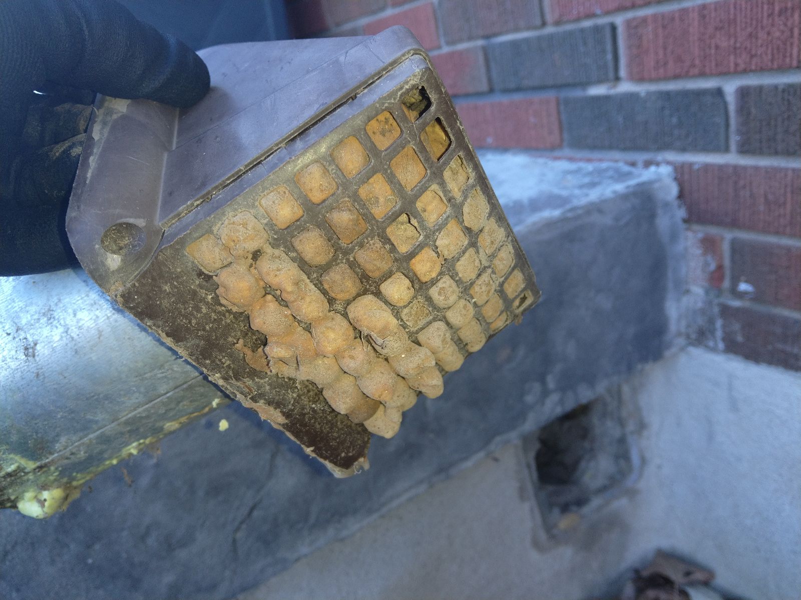 Unused Wall Vent Leads to Mouse Infestation