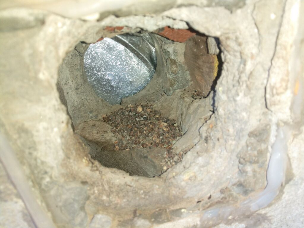 Mice Removal in Wall Vent