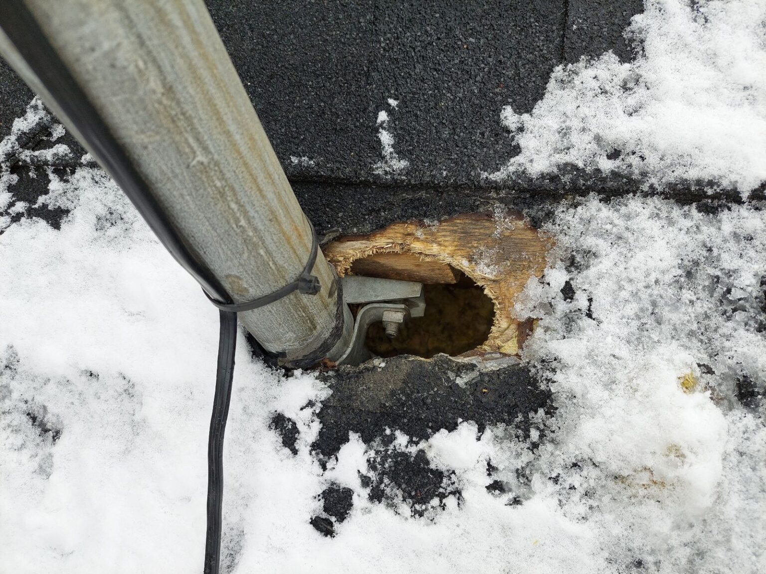 What to Do if you Find Squirrel Damage