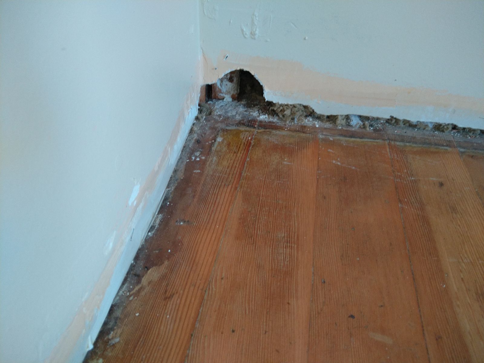 Rat Removal