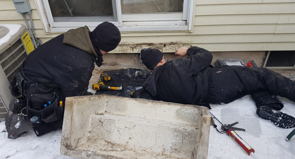 Mice Removal Oshawa