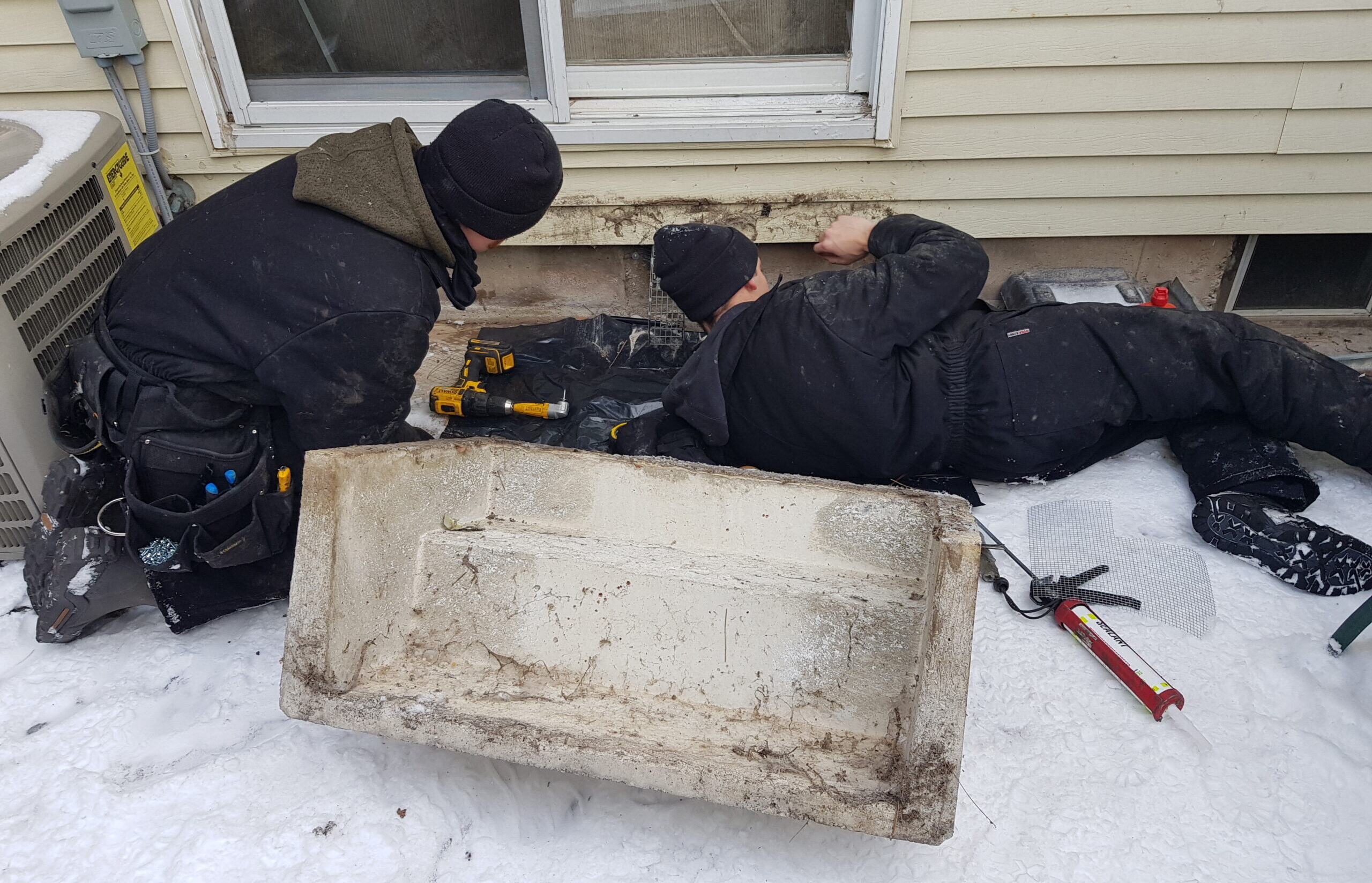 Mice Removal Oshawa