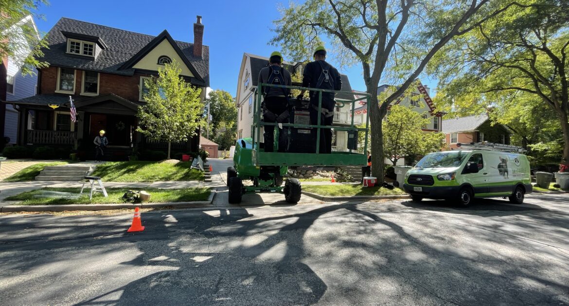 Squirrel Removal Richmond Hill