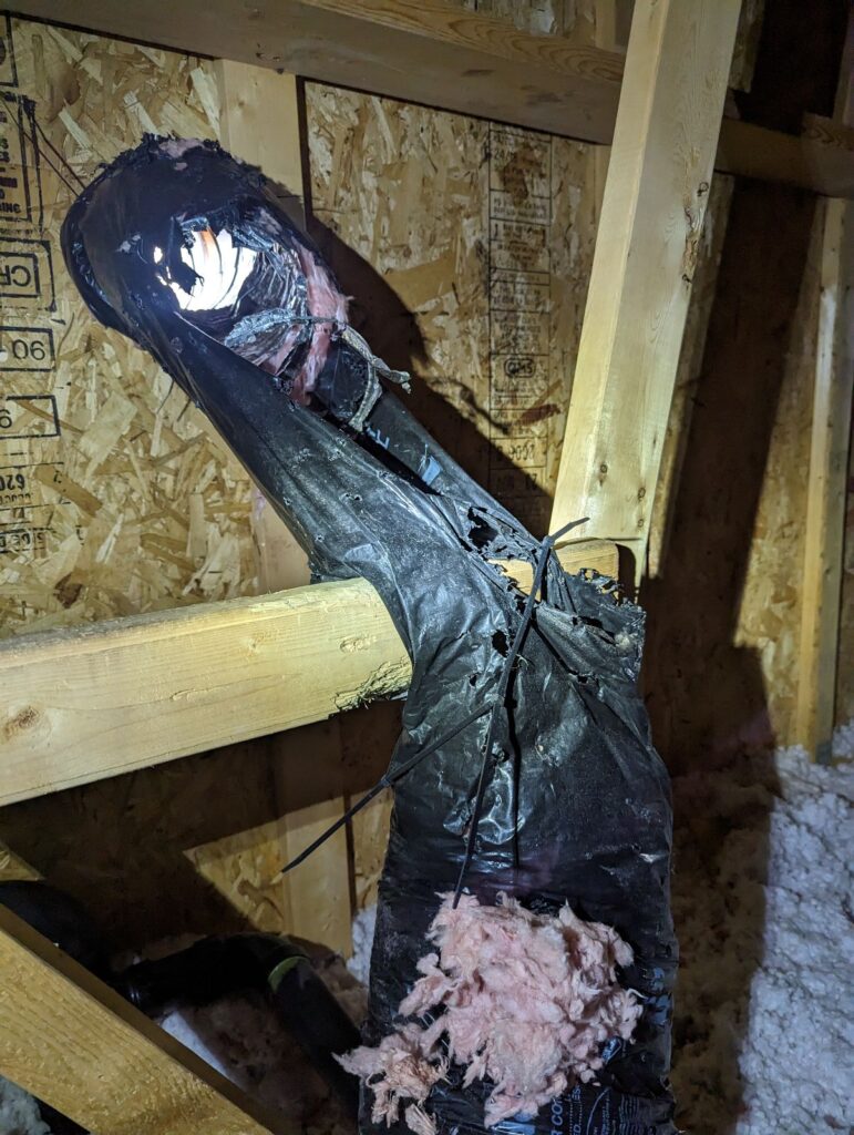 Vent Damage From Squirrels in Niagara Falls