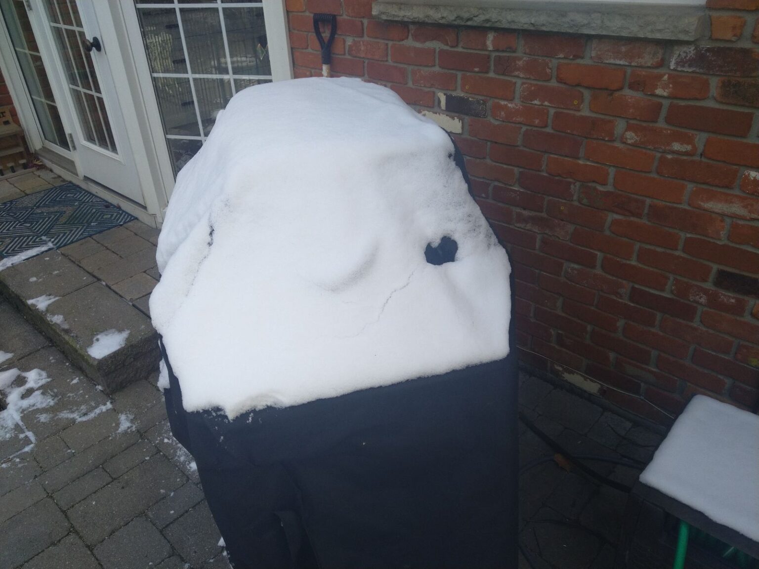 Protect Your BBQ From Mice With These Expert Tips!