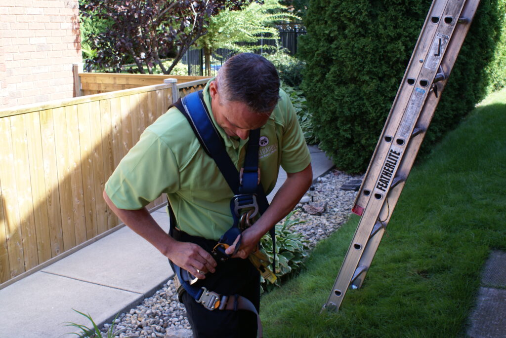 Bird Removal Milwaukee