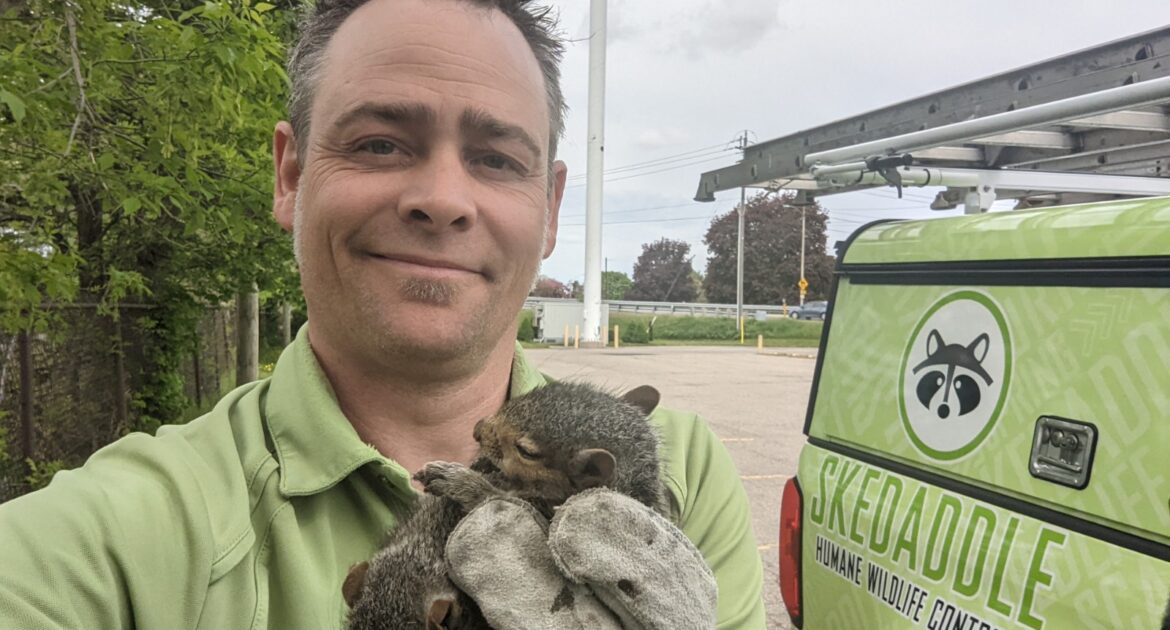 Squirrel Removal Milwaukee