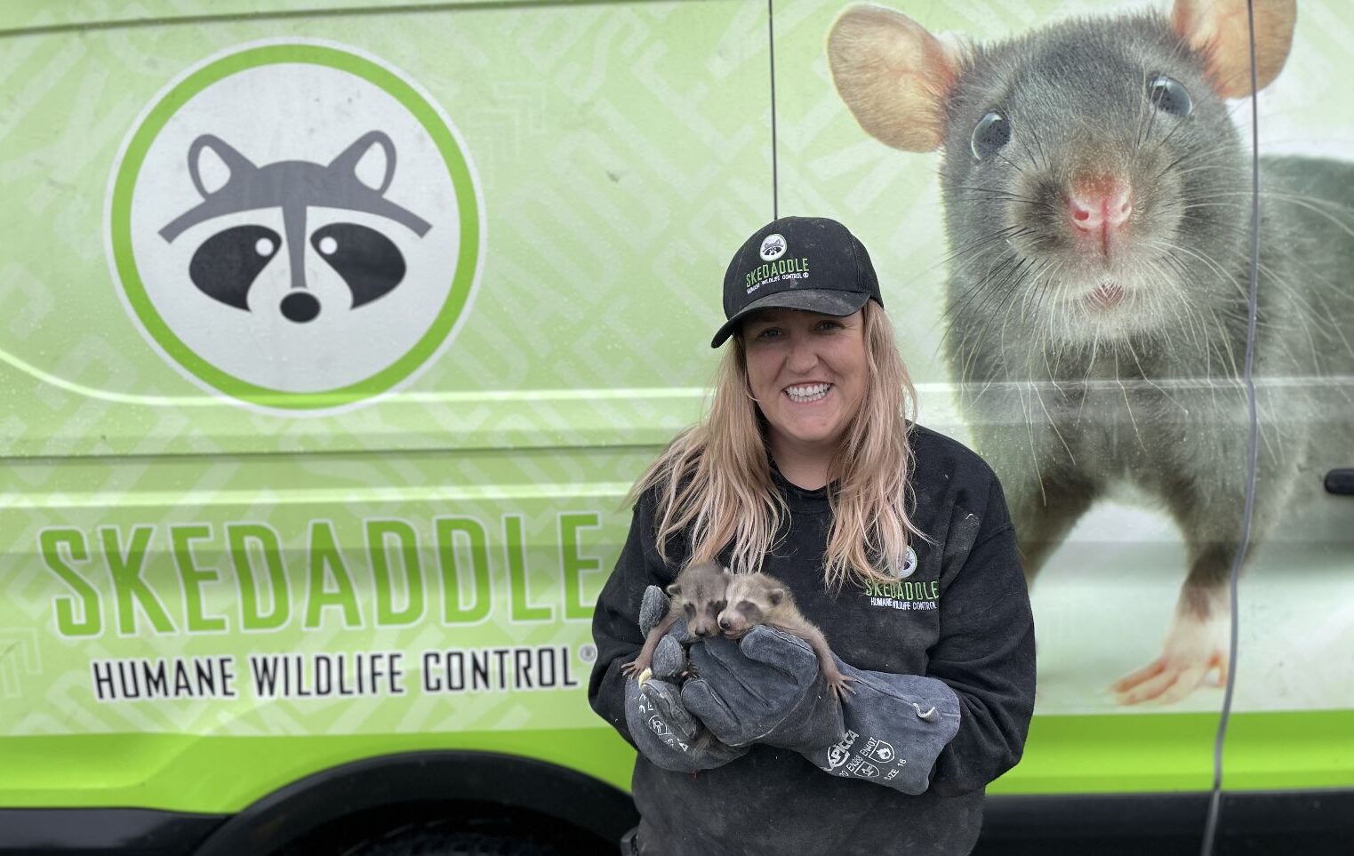 Raccoon Removal Oshawa