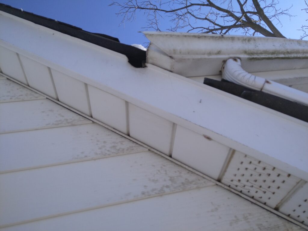 Squirrel Chewing Marks on Metal Soffit Vents