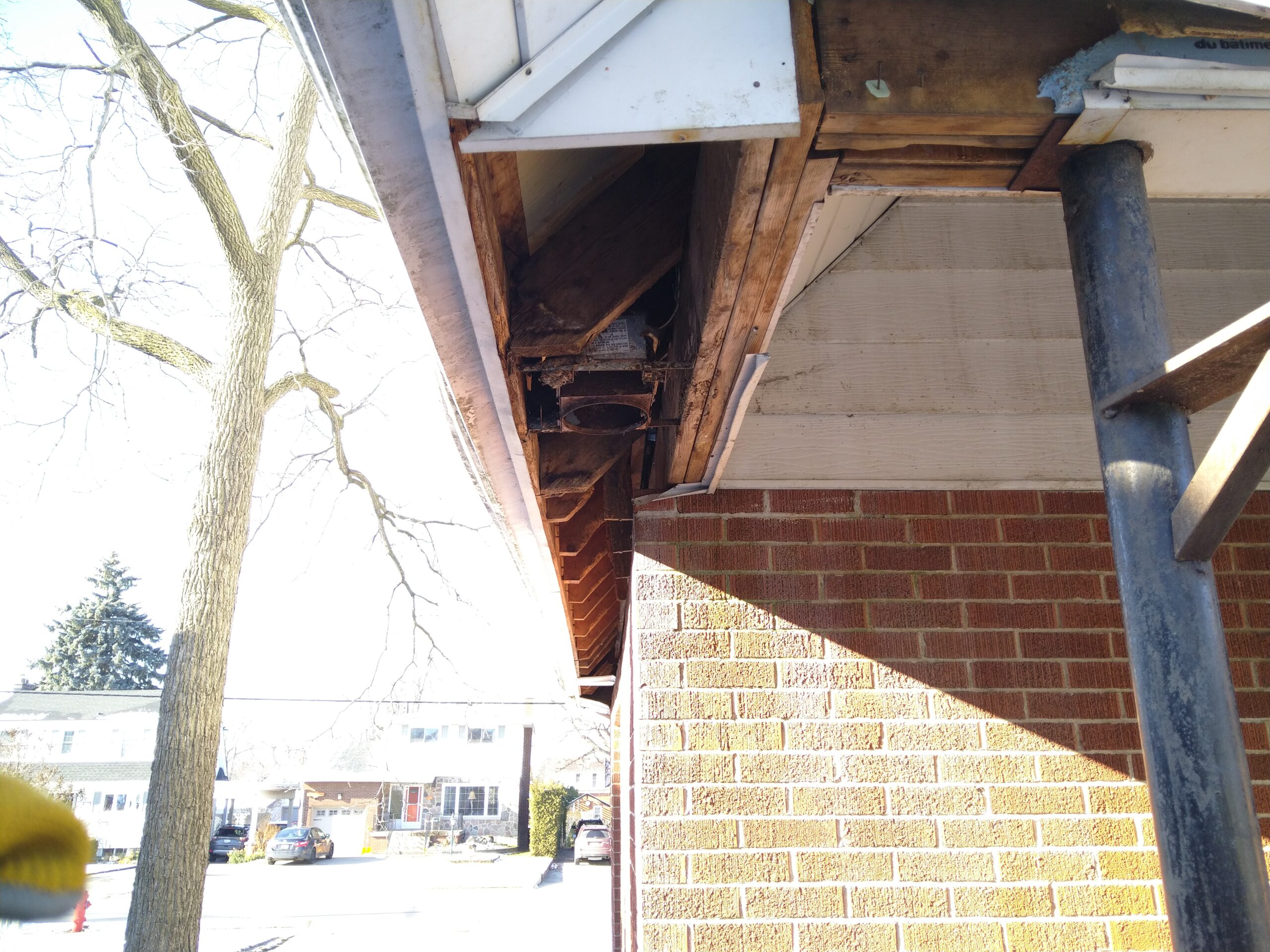 Raccoon Entry through Soffit Vents