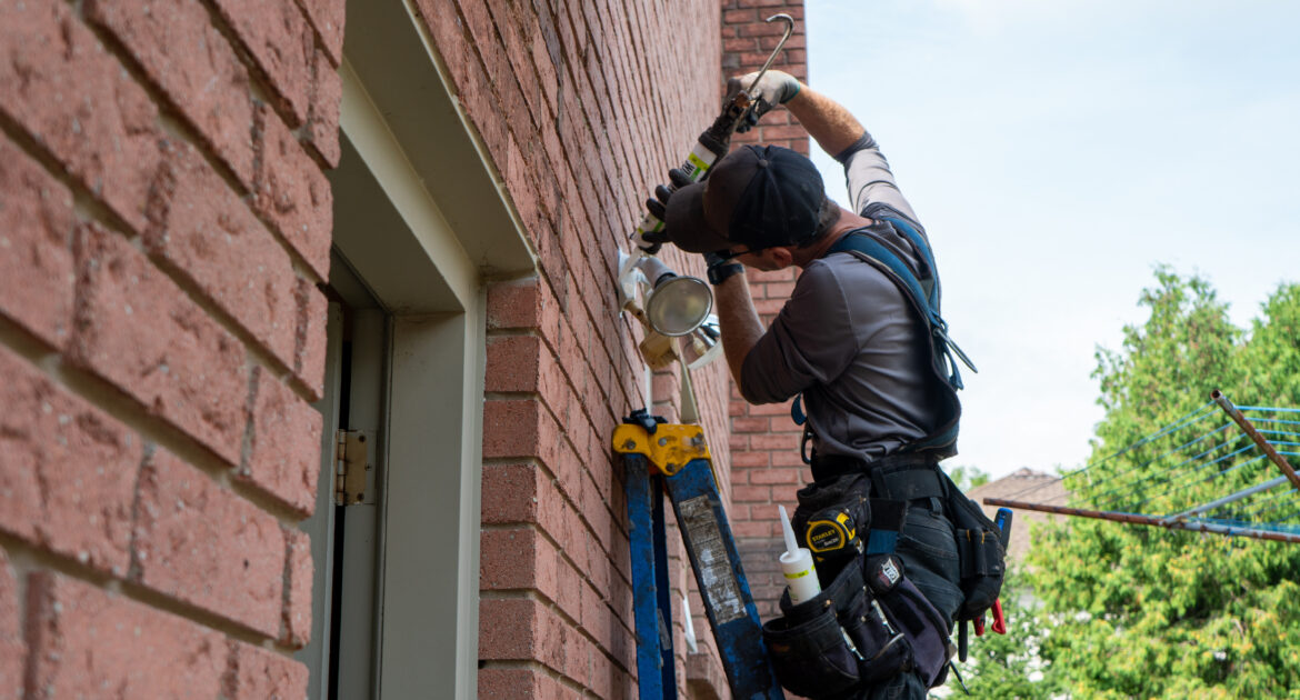 Mice Removal Newmarket