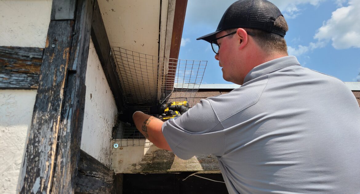 Wildlife Control Calvert County