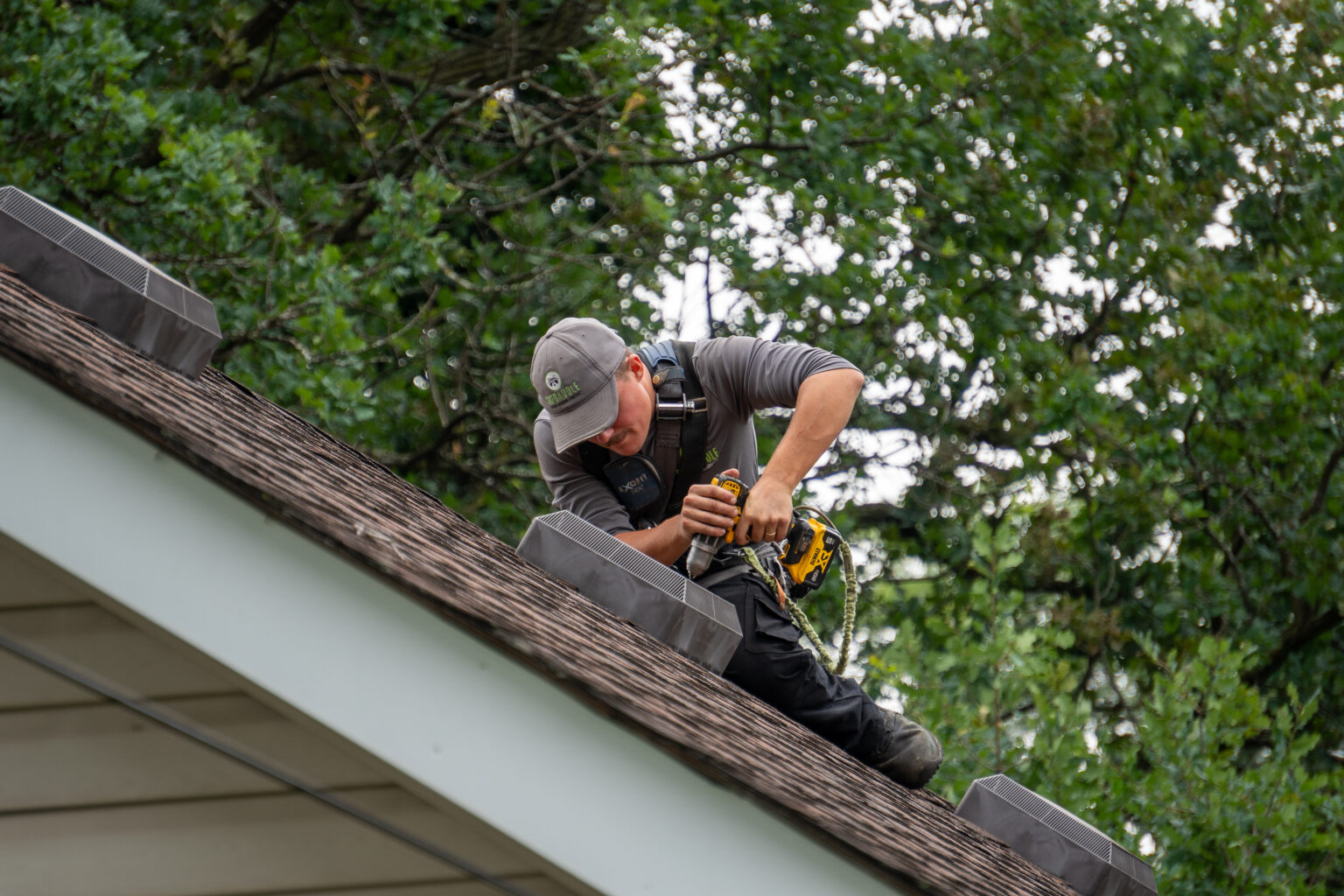 Keep Raccoons Off the Roof With These Tips