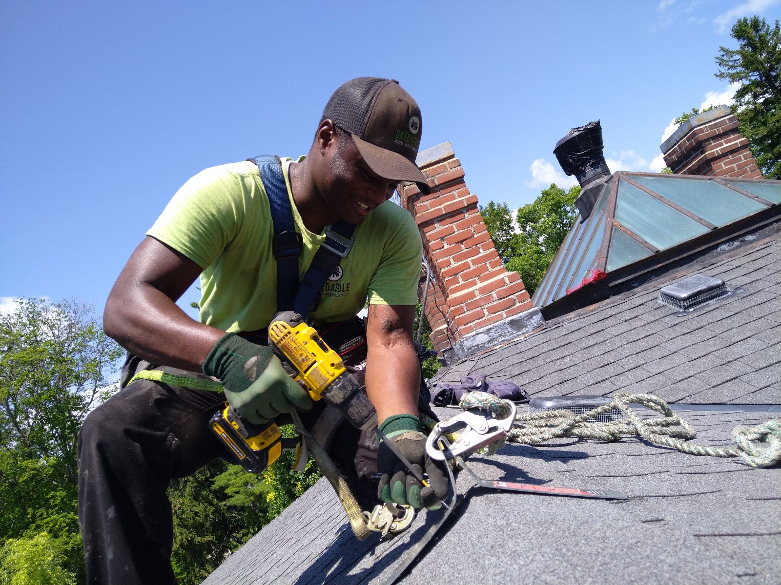 Bird Removal Markham