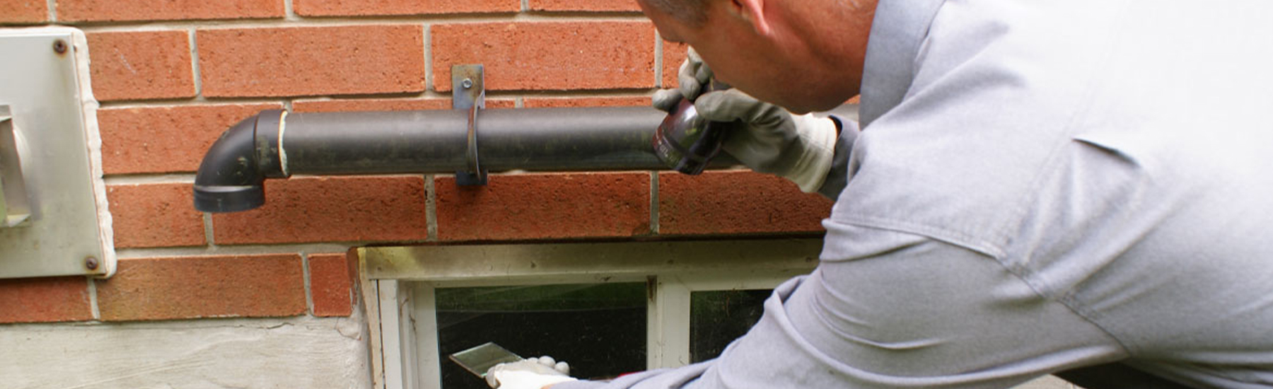Wildlife Removal York