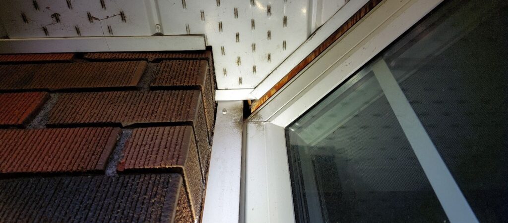 Mice Removal Hennepin County
