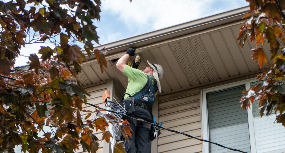 Wildlife Removal Minneapolis