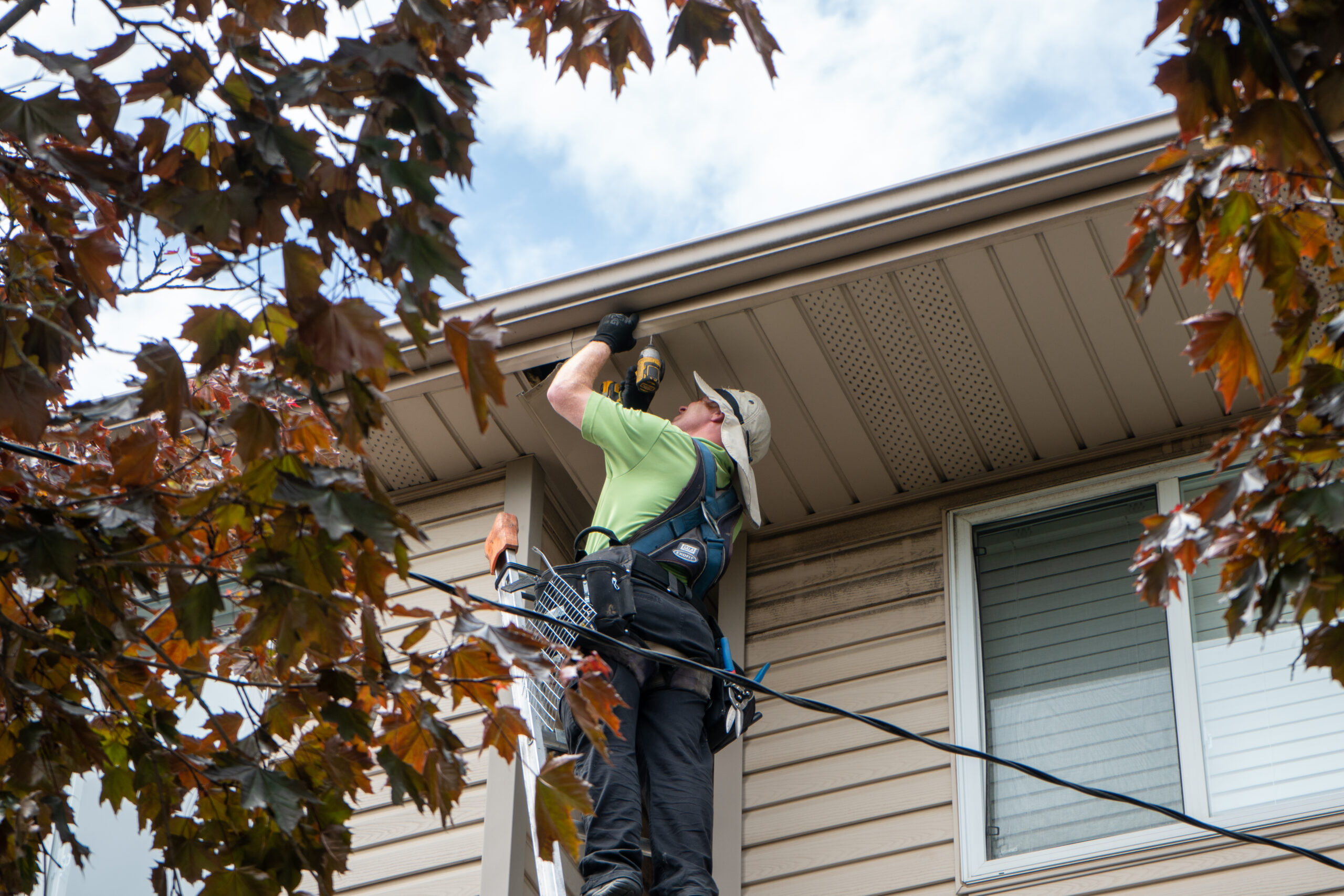 Wildlife Removal Minneapolis