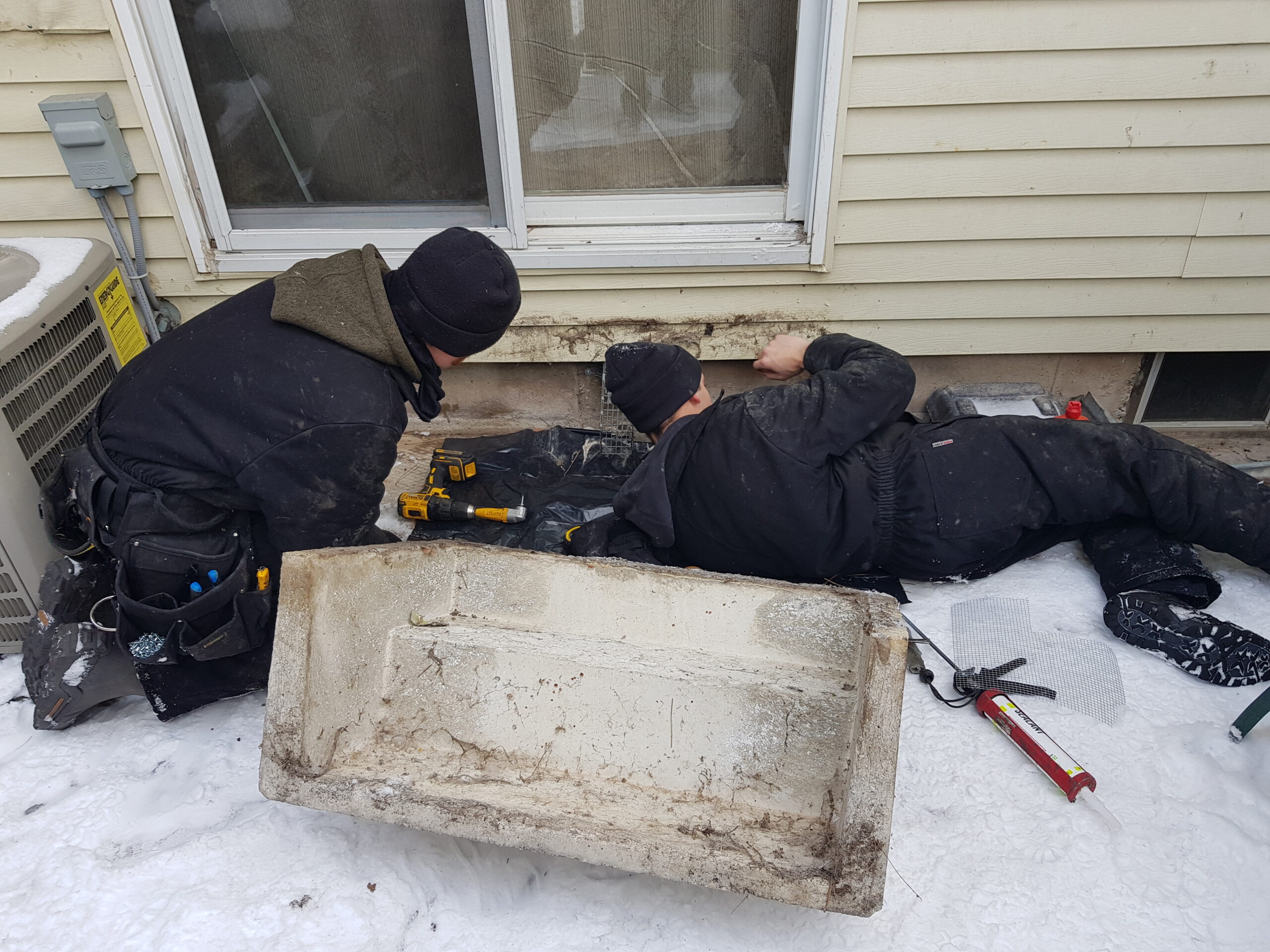 Skedaddle technicians installing one way door for rats