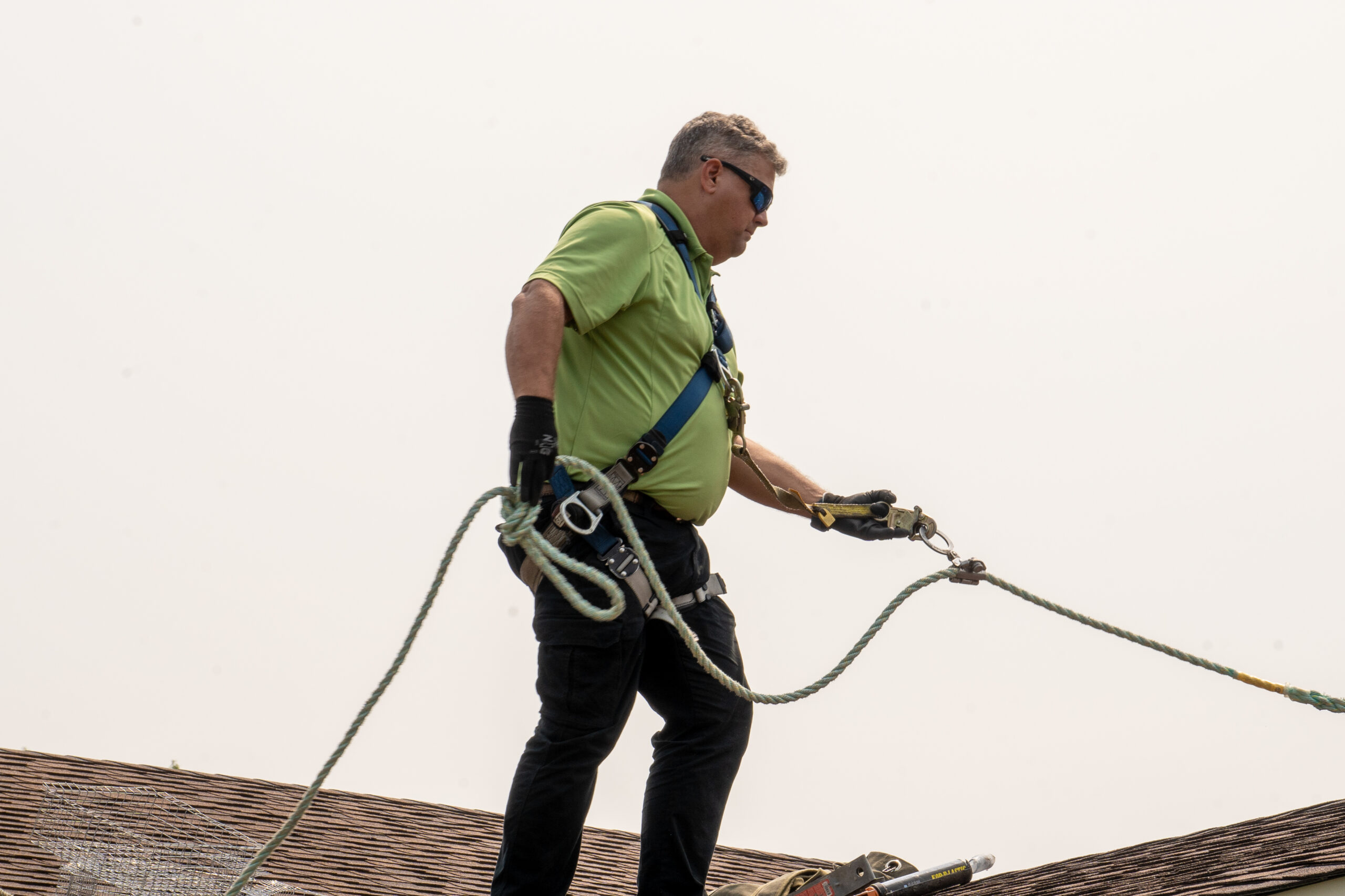 Maryland technicians look t a mouse one way door