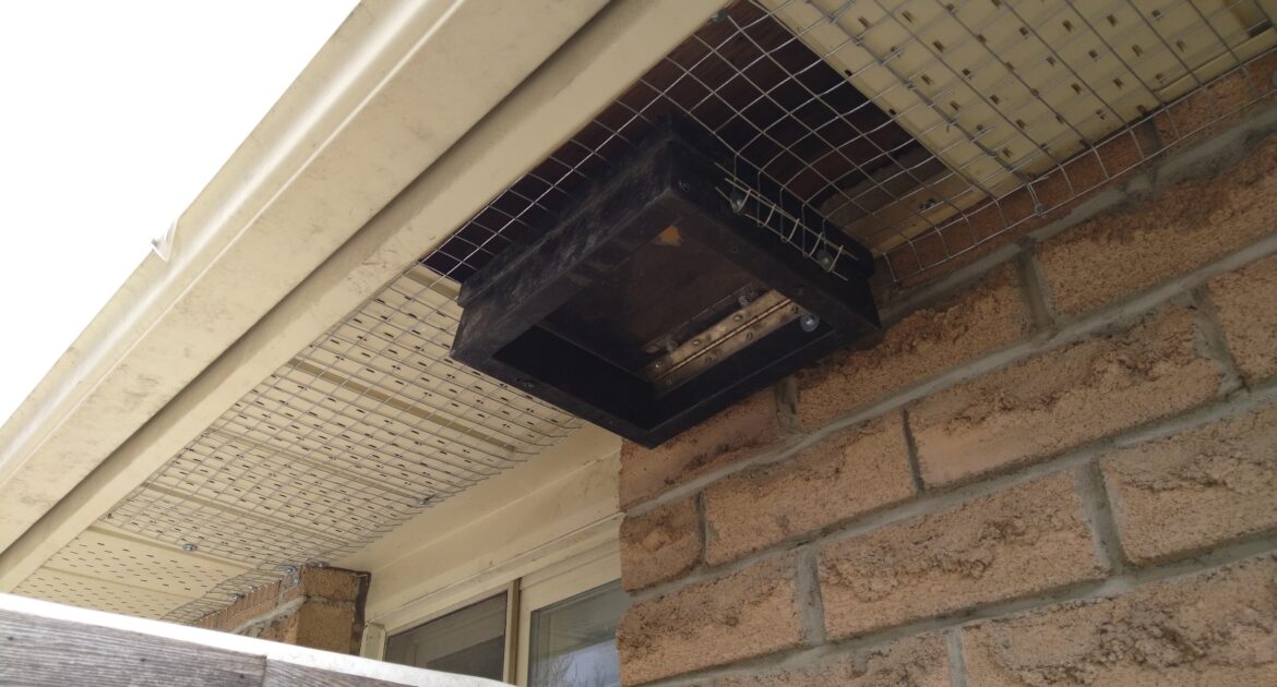 Raccoon Removal Markham