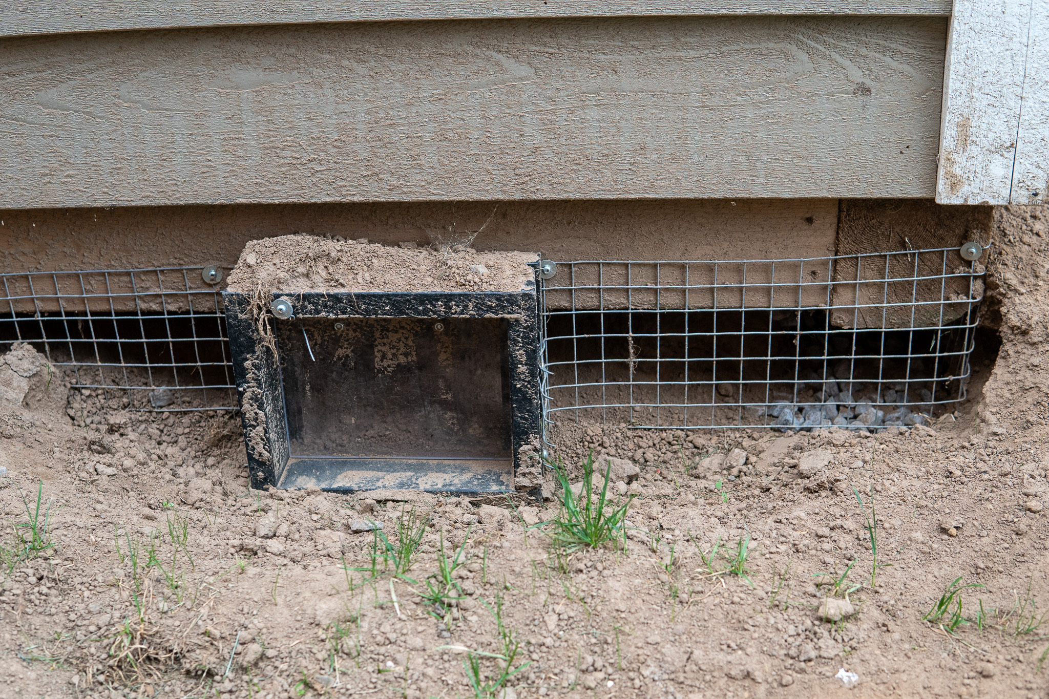 Skunk Removal York Region