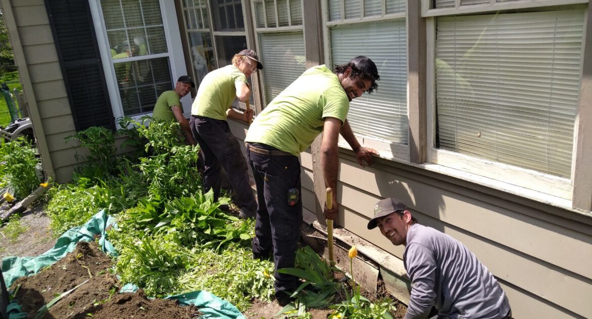 Skunk Removal Montreal