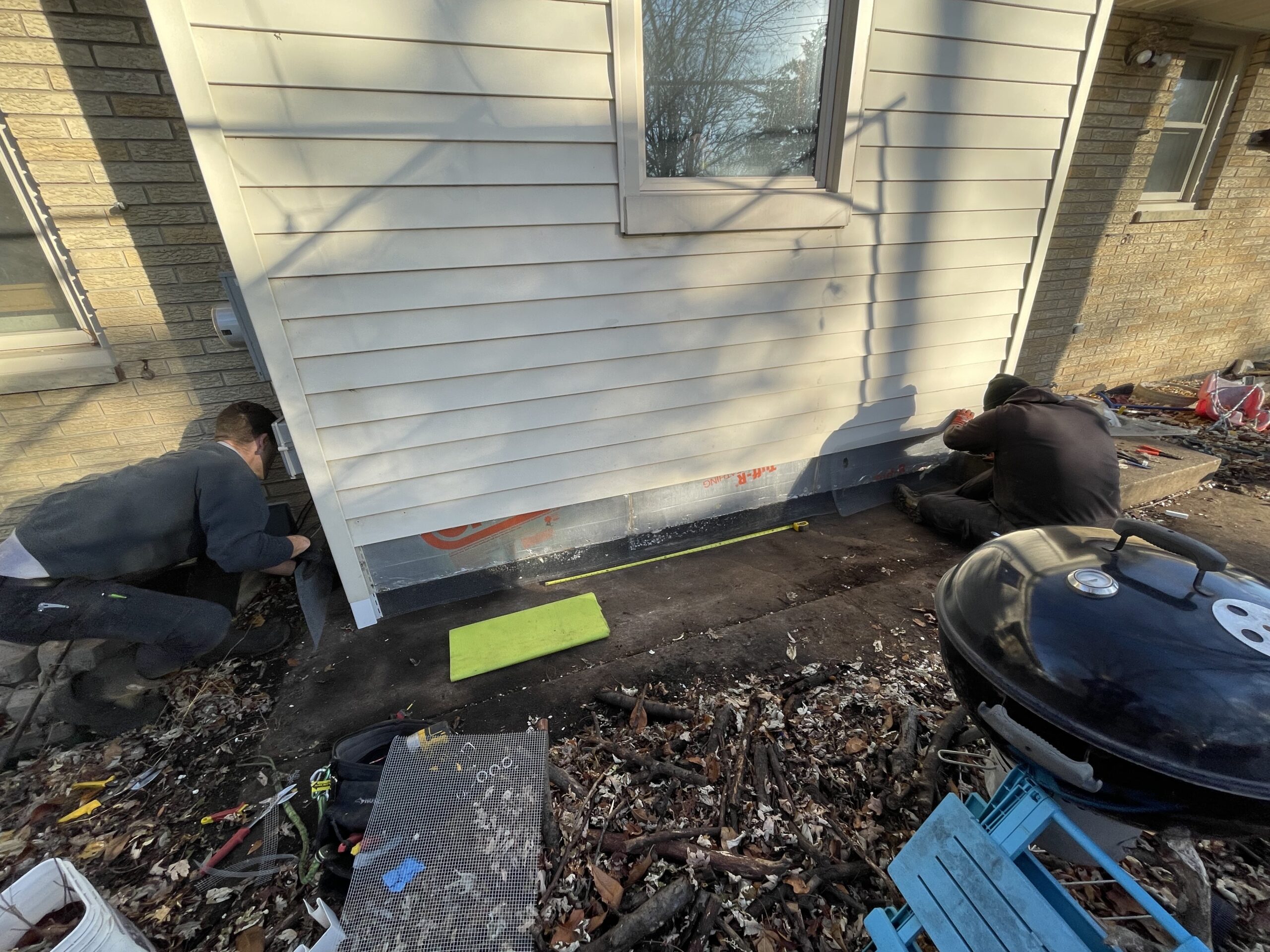 Mice Removal Milwaukee
