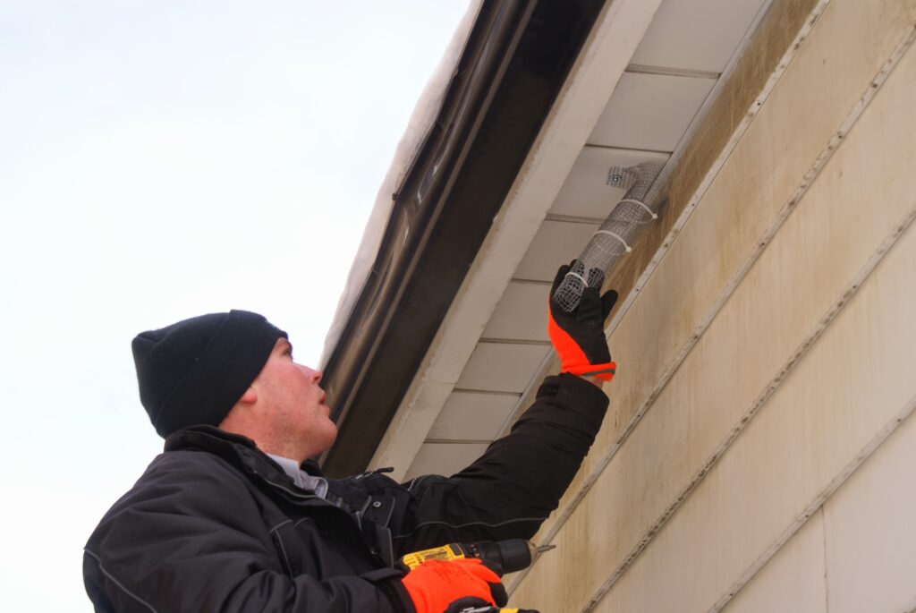 Bat Removal Ottawa