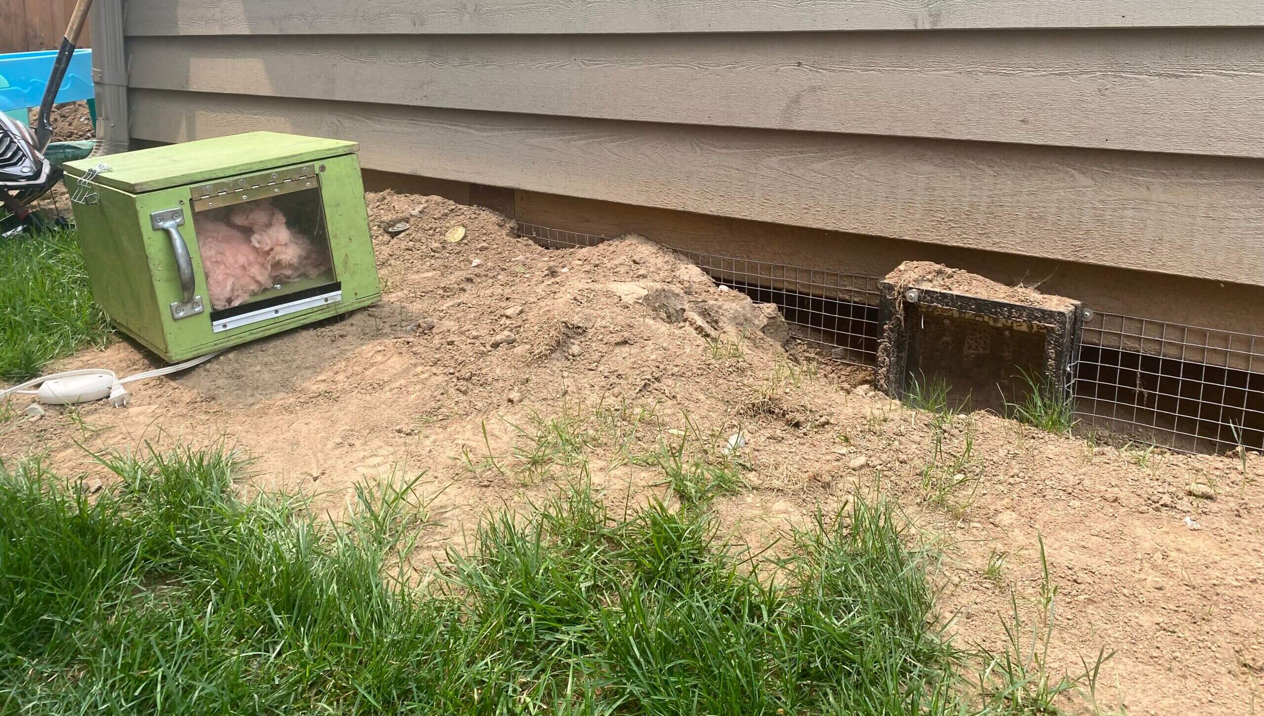 Skunk Removal Madison