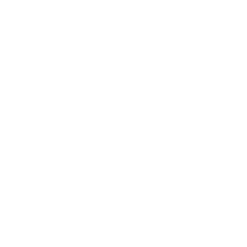 phone-icon