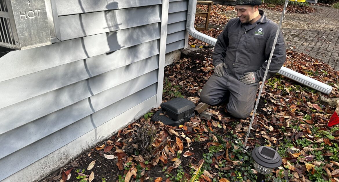 Mice Removal Milwaukee