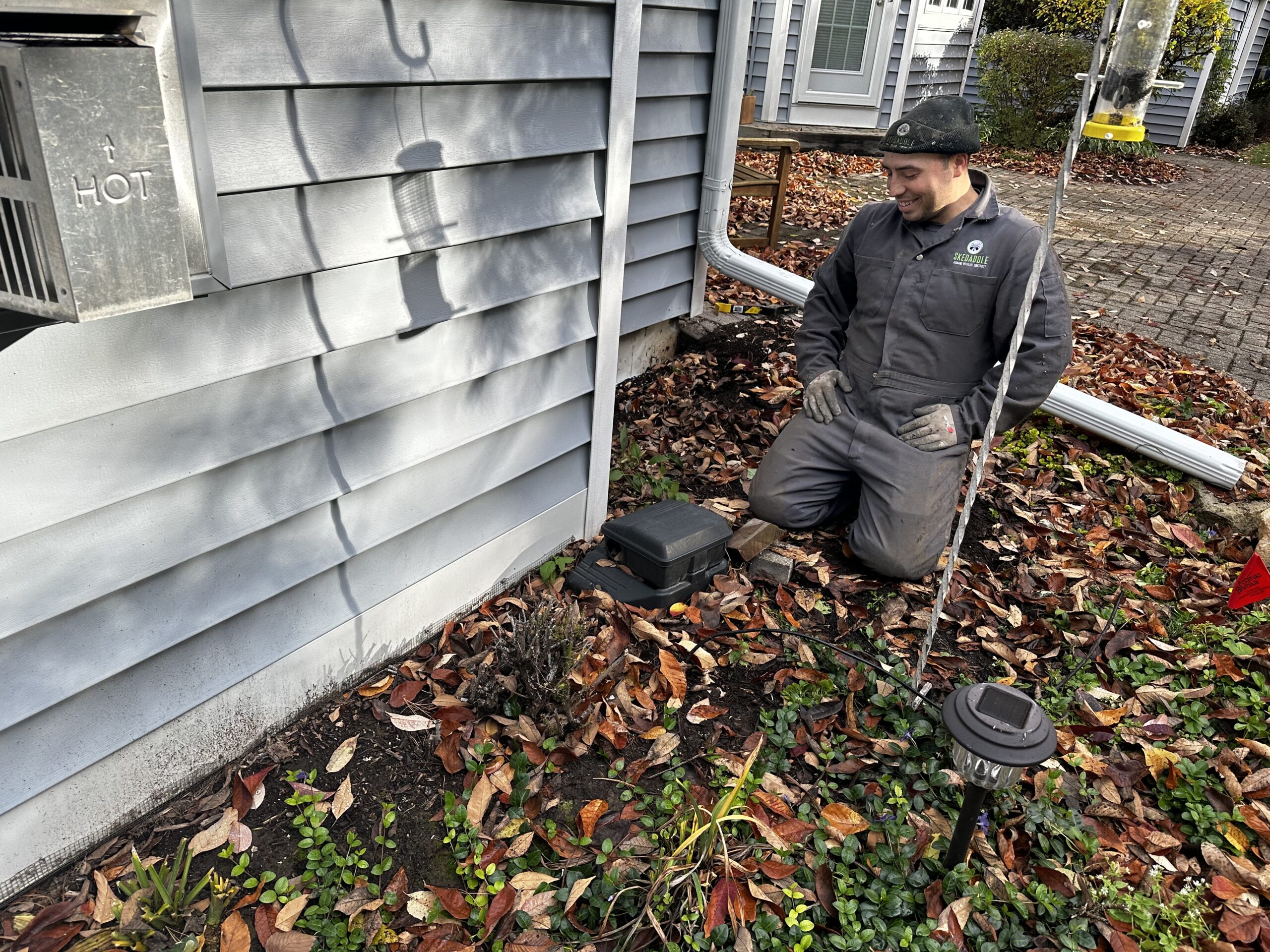 Mice Removal Milwaukee