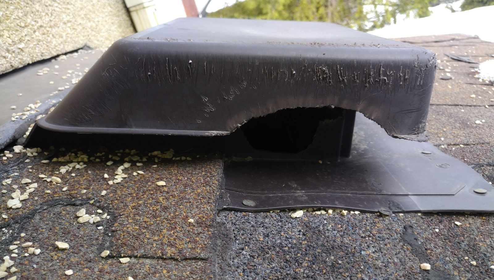 Ottawa roof vent squirrel entry damage chewing attic March 2023 3