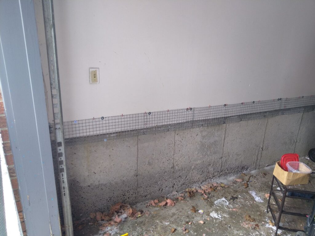 Rat Removal Toronto
