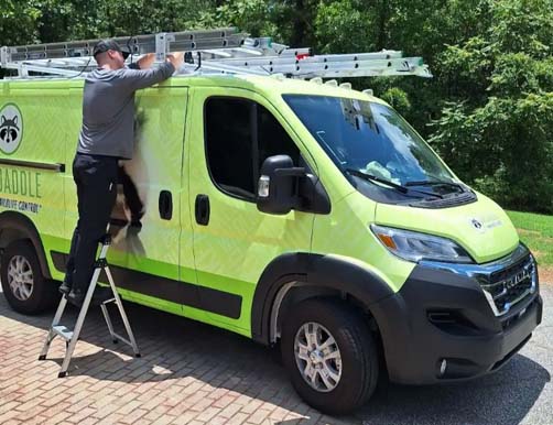 Skedaddle humane wildlife control car with ladder