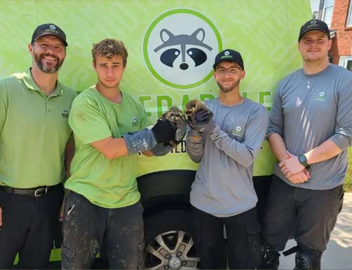 Skedaddle humane wildlife control Team