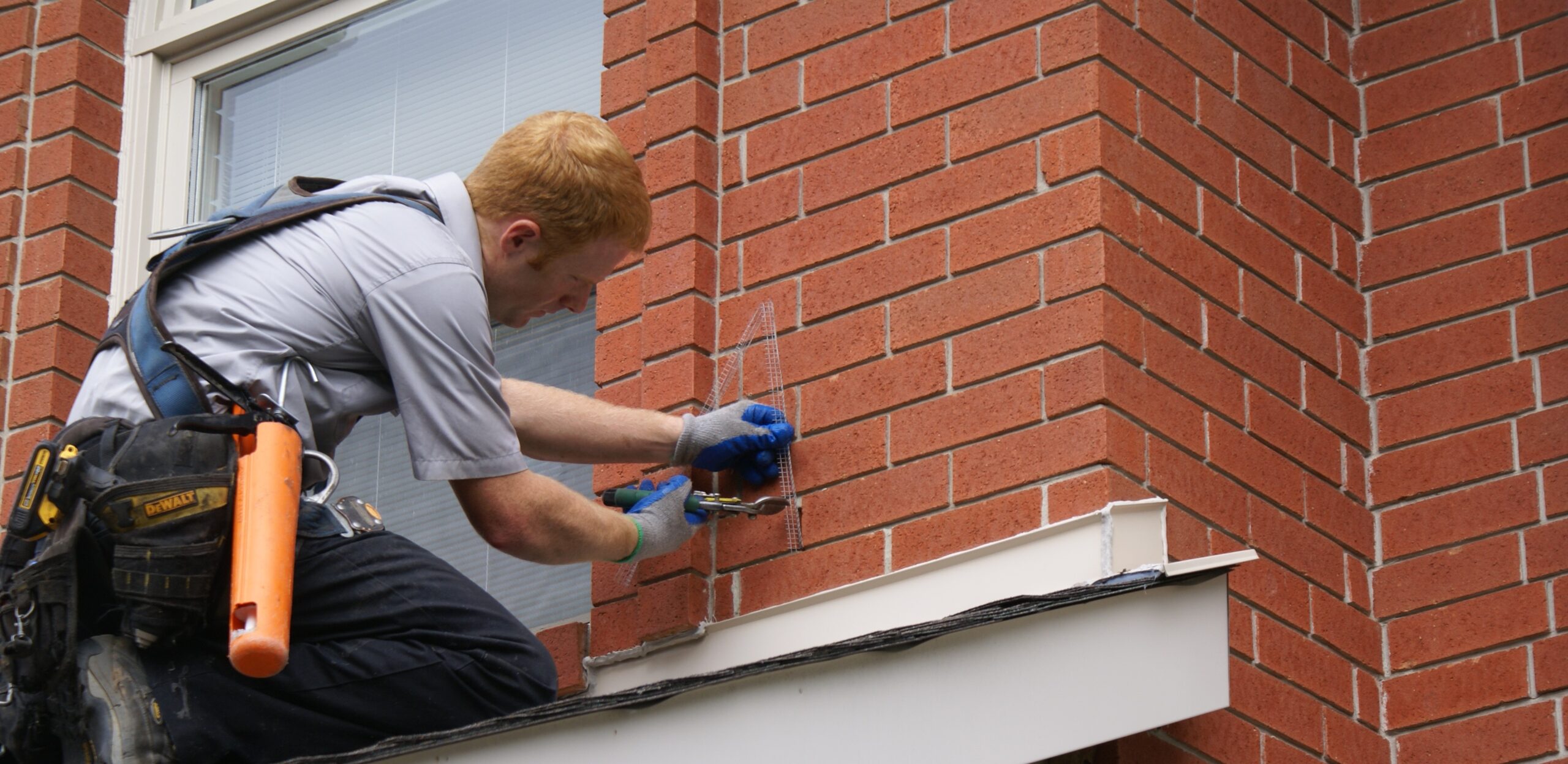 Mouse Removal Anoka County