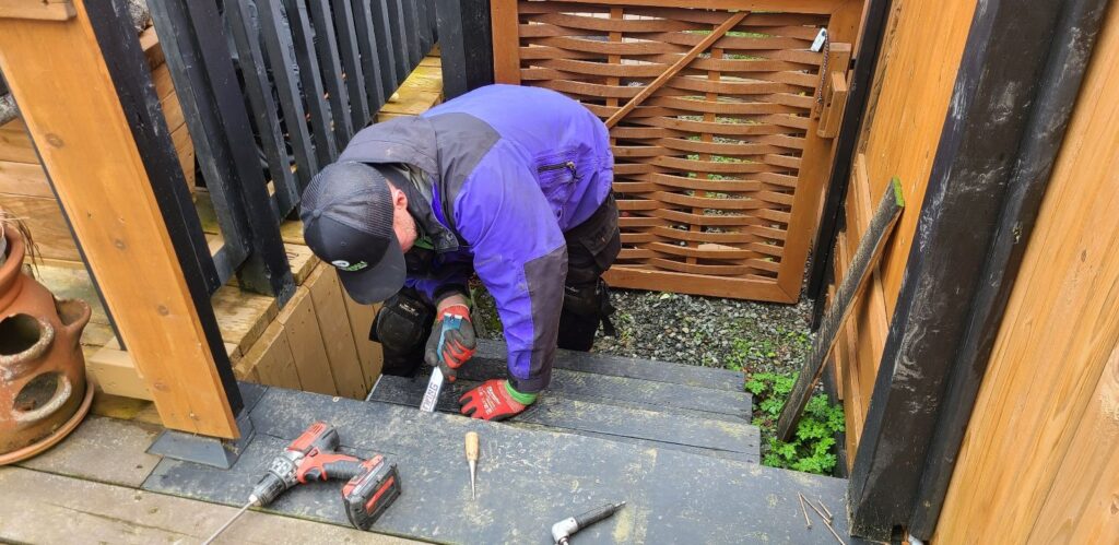 Skunk Removal Hennepin County