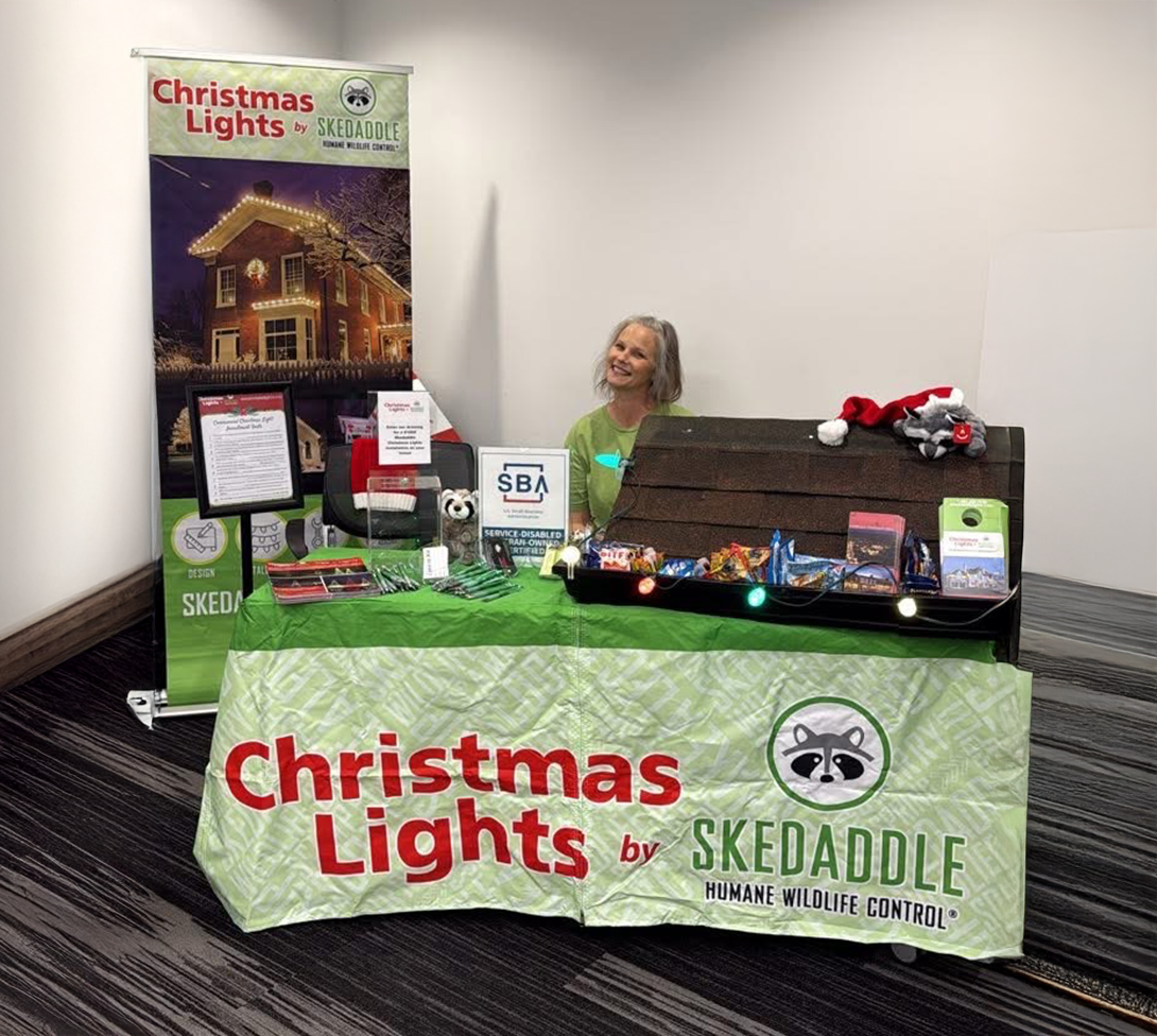 Untitled 1 Untitled 1