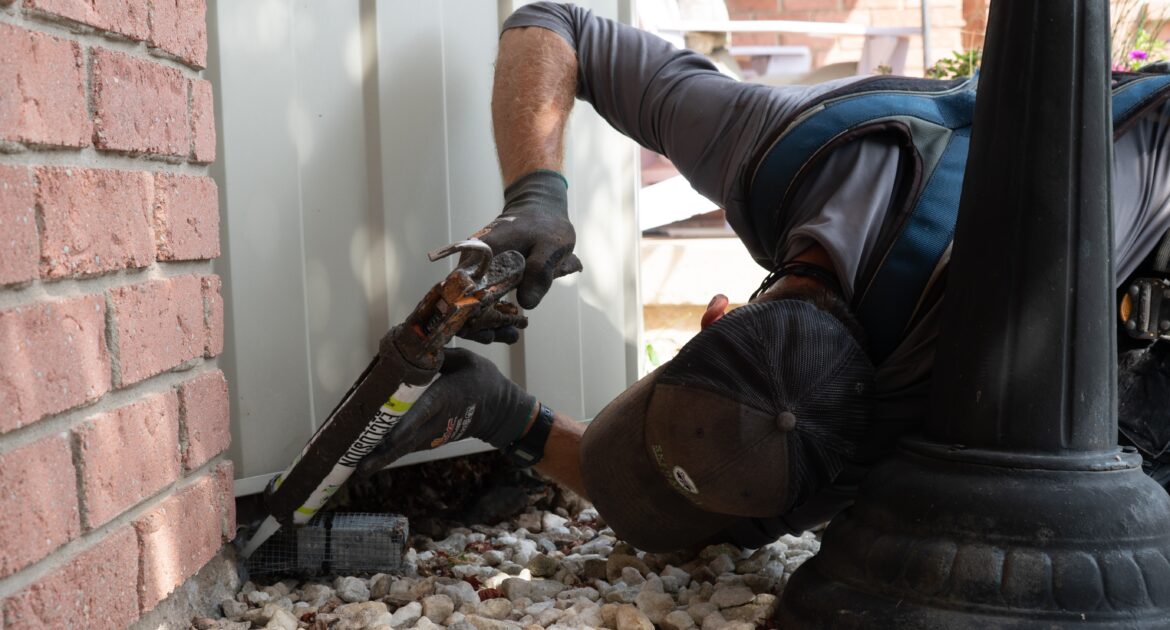 Wildlife Removal in Crofton